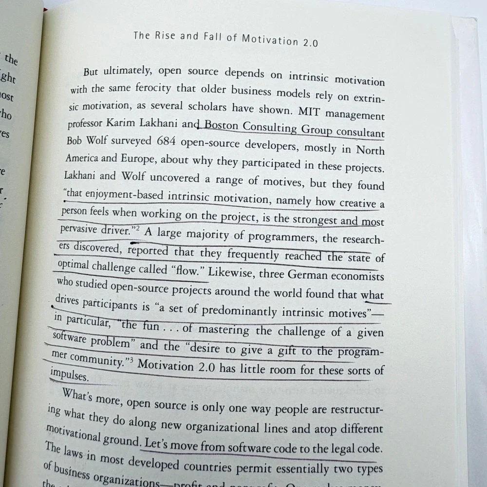 Drive Daniel H Pink Surprising Truth About What Motivates Us Hardcover 2009 Book